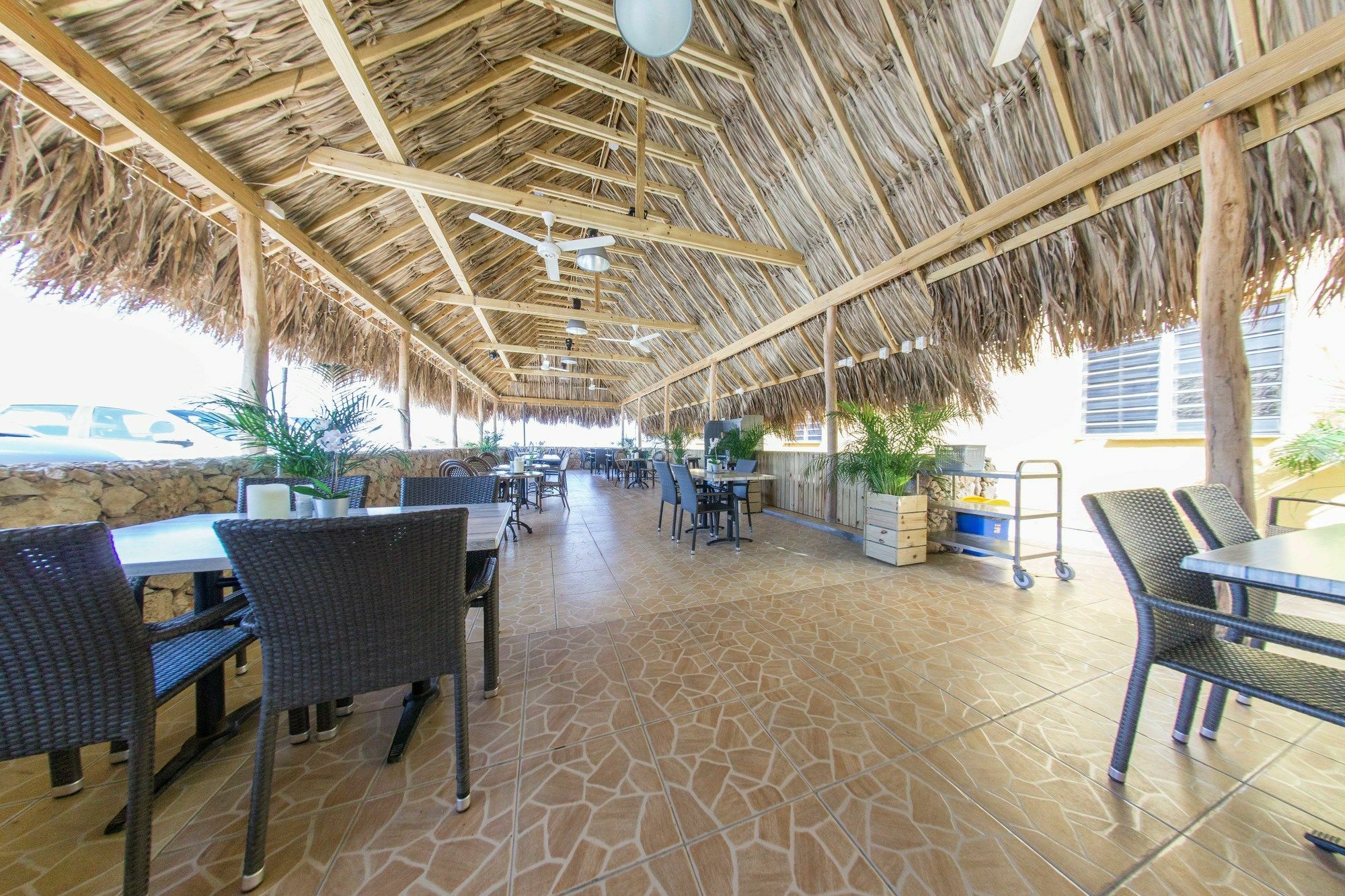 Hillside Resort Bonaire Playa Eksteriør billede
